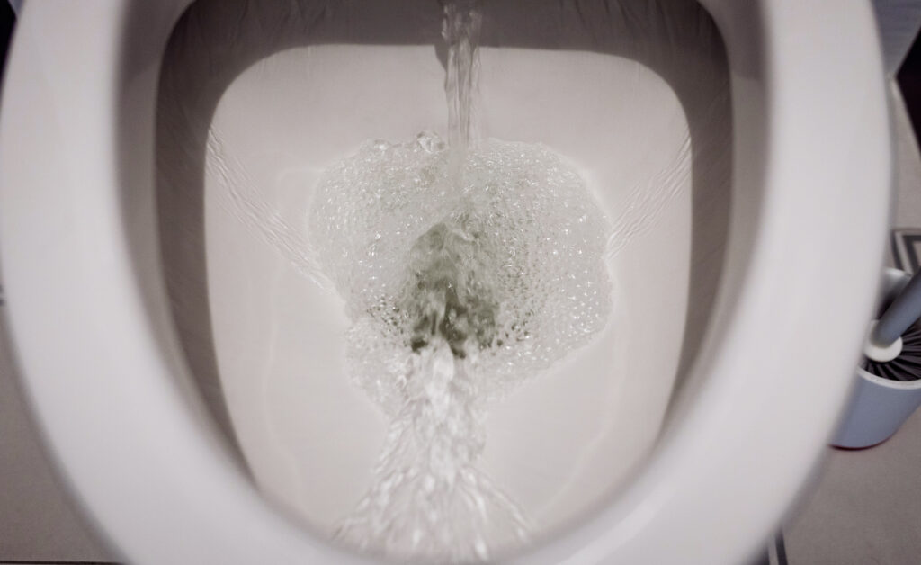 Flushing the toilet at Restroom