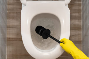 Clean a Saniflo toilet