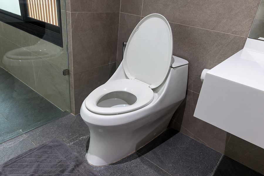 Macerator toilet